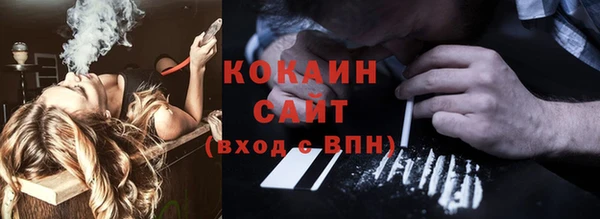 сатива Абаза