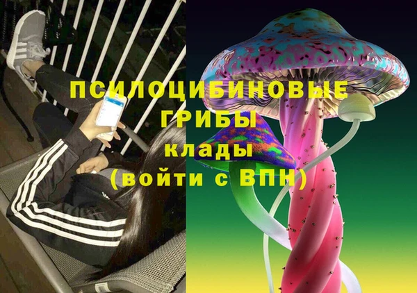 ешки Протвино