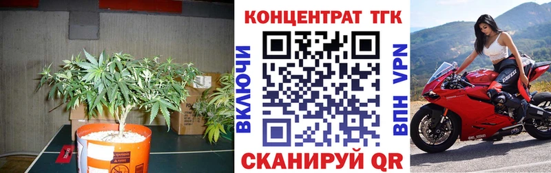 Дистиллят ТГК Wax  Рыльск 