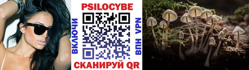 Псилоцибиновые грибы GOLDEN TEACHER  купить наркотики сайты  Рыльск 